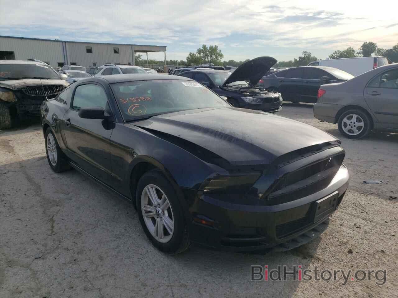 Photo 1ZVBP8AM7E5313588 - FORD MUSTANG 2014