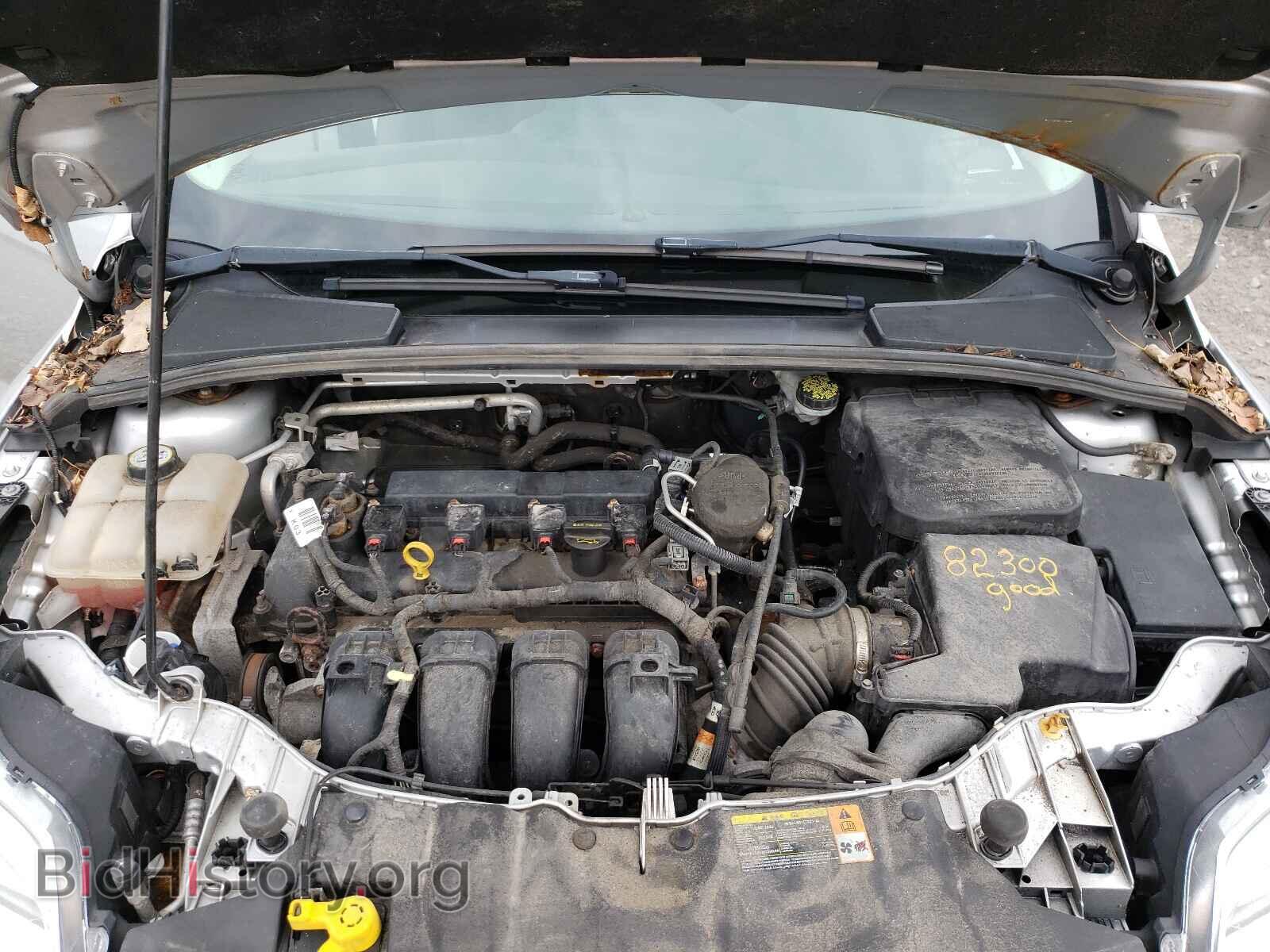 2013 FORD FOCUS - VIN: 1FADP3F29DL150206 - Фото 7