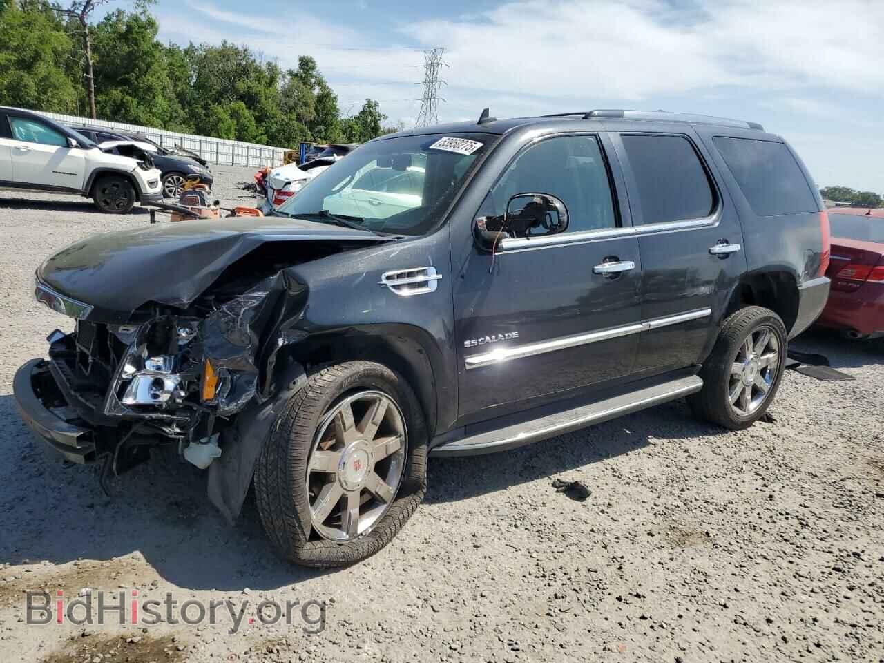 Photo 1GYS4BEF7BR323900 - CADILLAC ESCALADE 2011