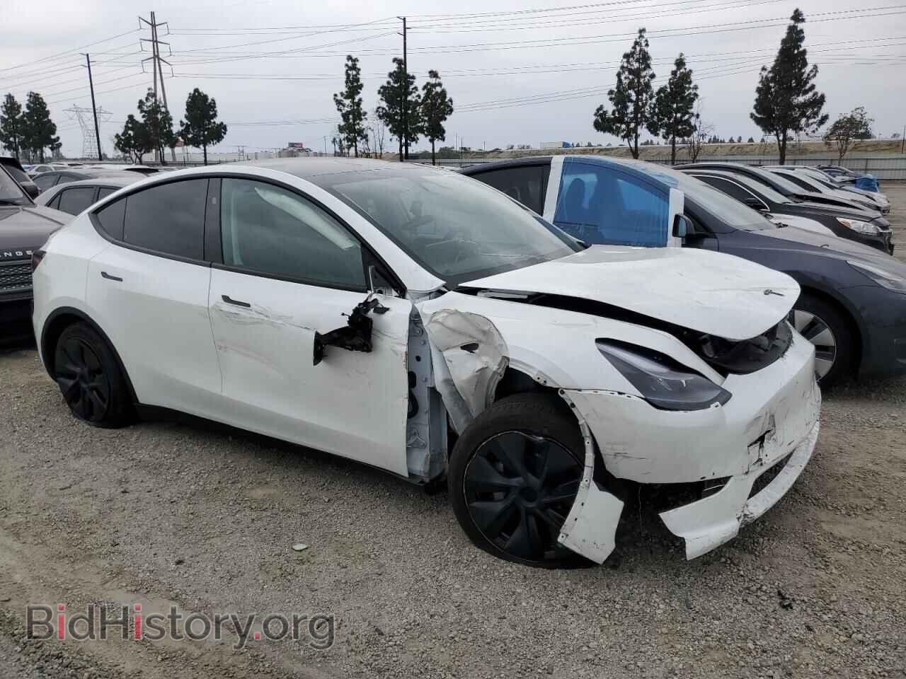 2024 TESLA MODEL Y - VIN: 7SAYGDEE1RF191665 - Фото 4