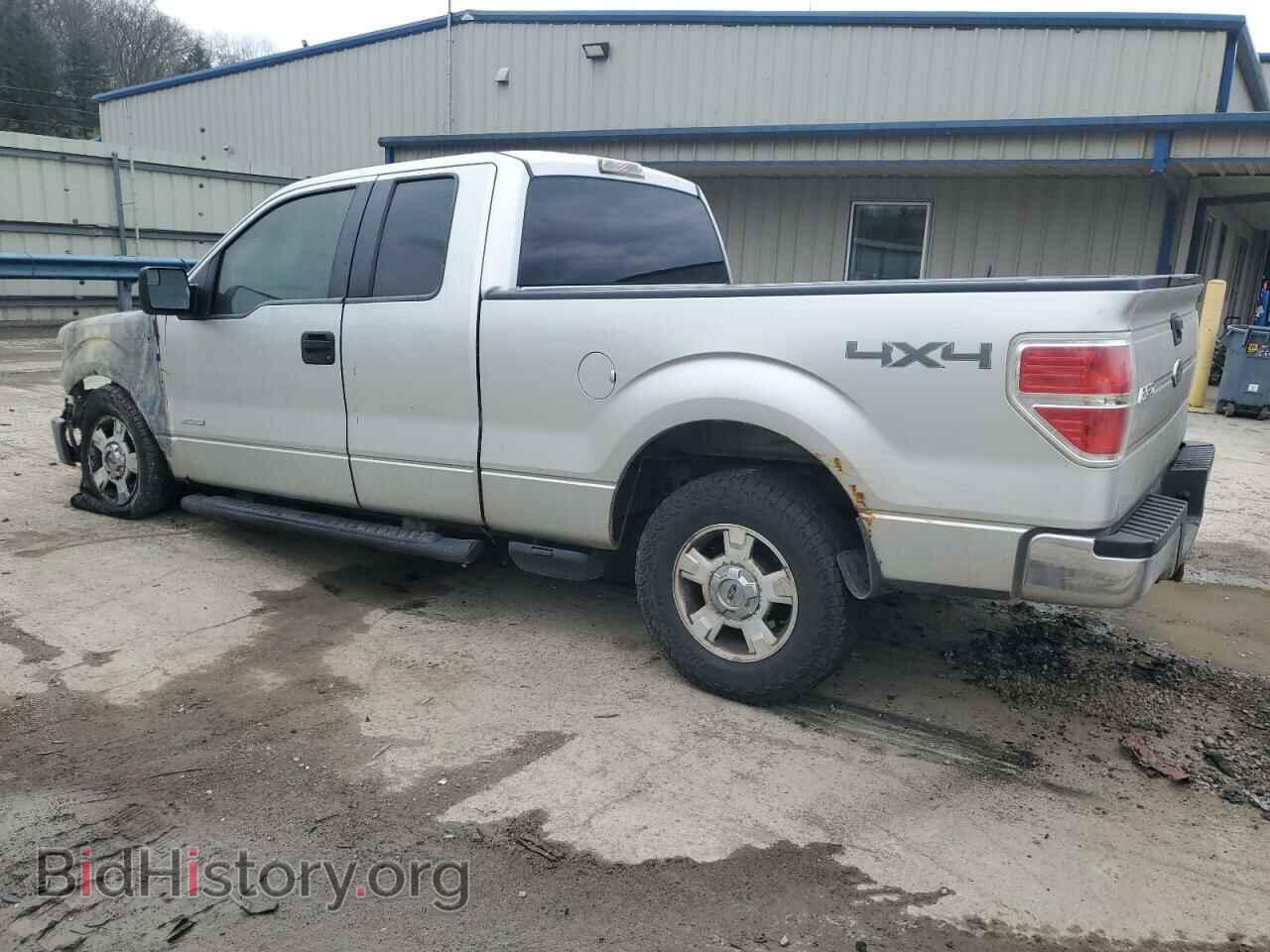 2011 FORD F-150 - VIN: 1FTFX1ET8BFD05695 - Фото 2