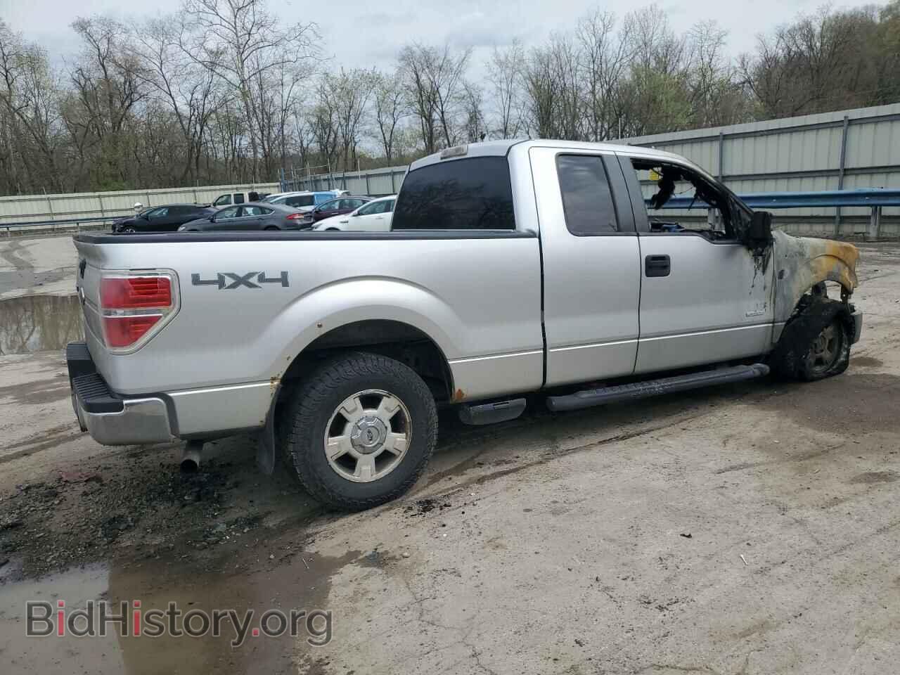 2011 FORD F-150 - VIN: 1FTFX1ET8BFD05695 - Фото 3