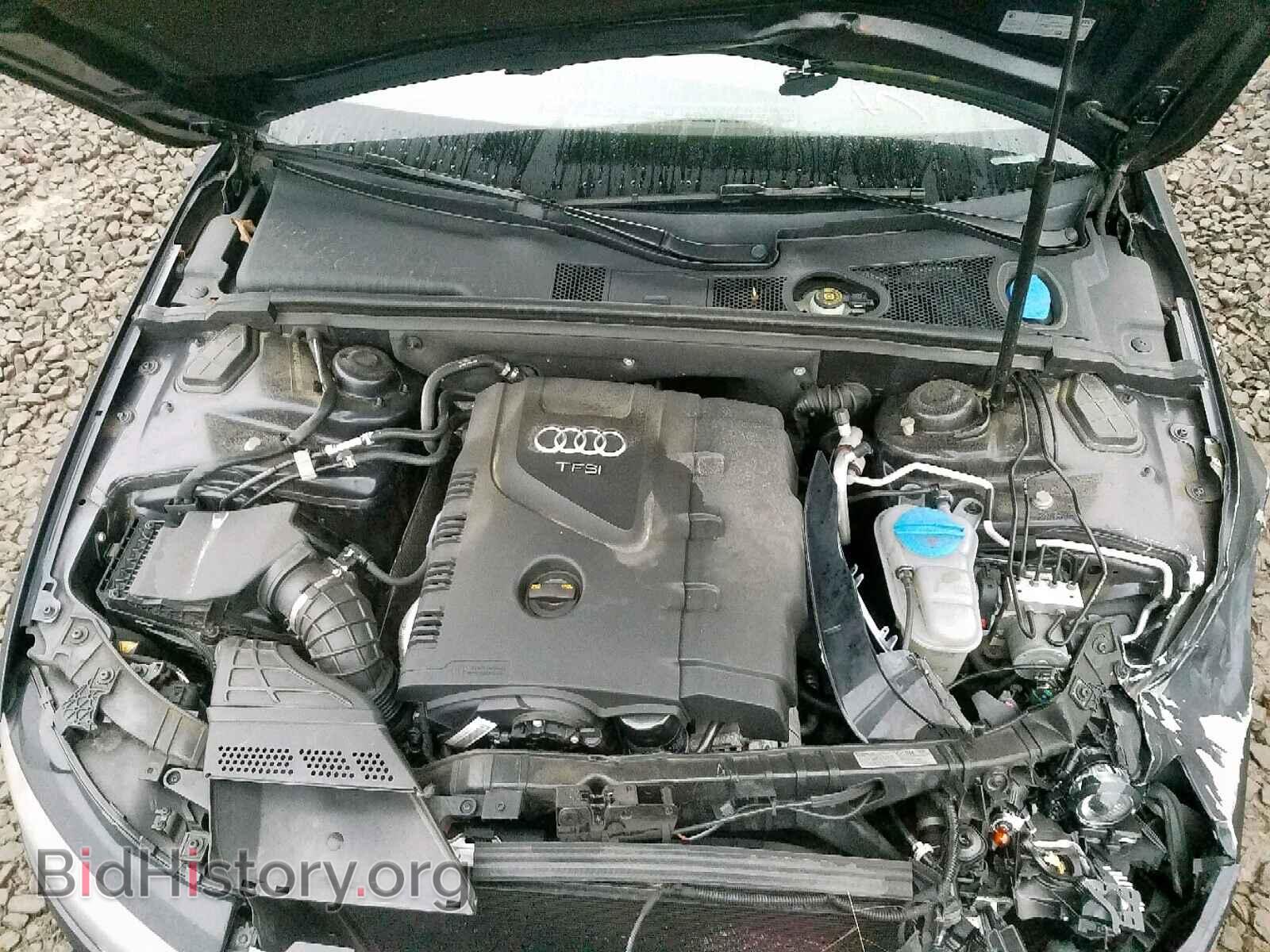 2013 AUDI A4 - VIN: WAUFFAFL5DN031234 - Фото 7