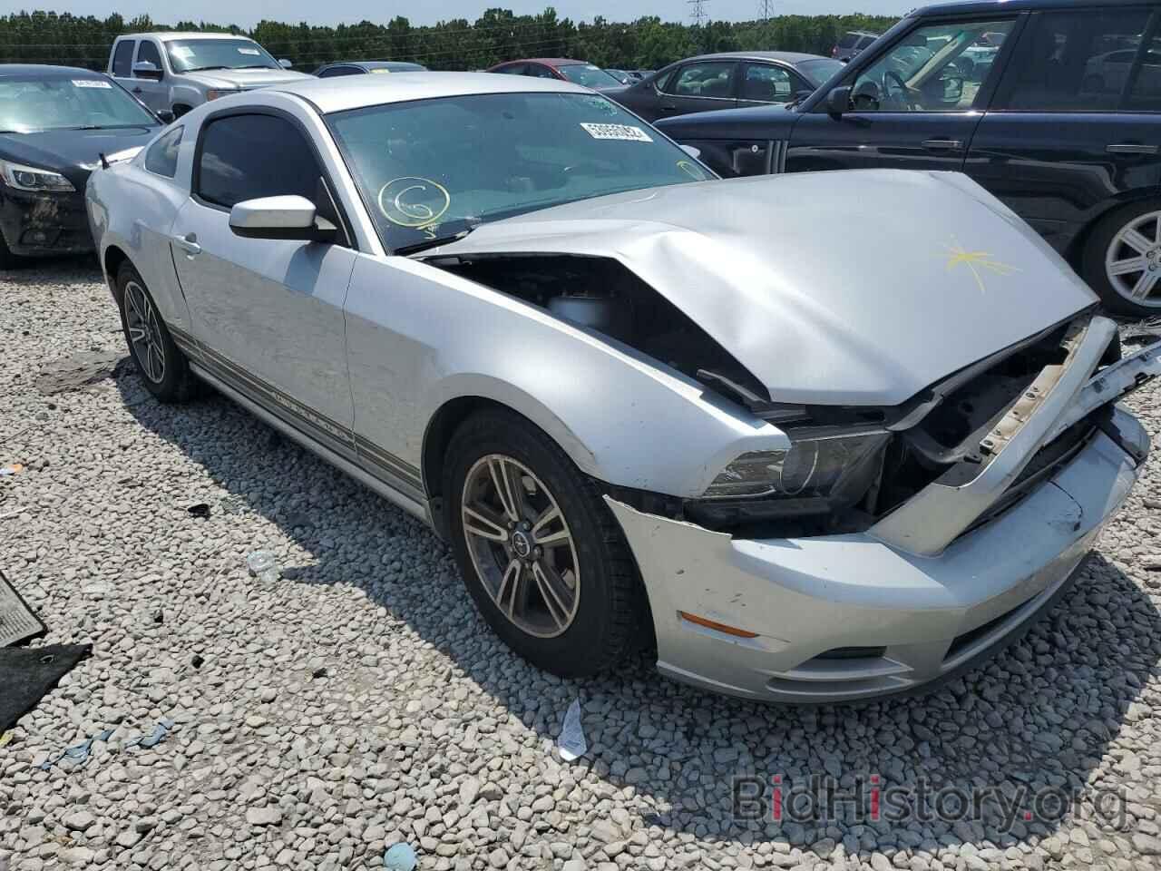 Photo 1ZVBP8AM9D5204497 - FORD MUSTANG 2013