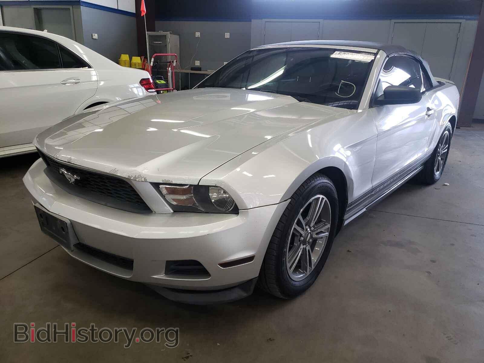 2011 FORD MUSTANG - VIN: 1ZVBP8EM4B5117839 - Фото 2