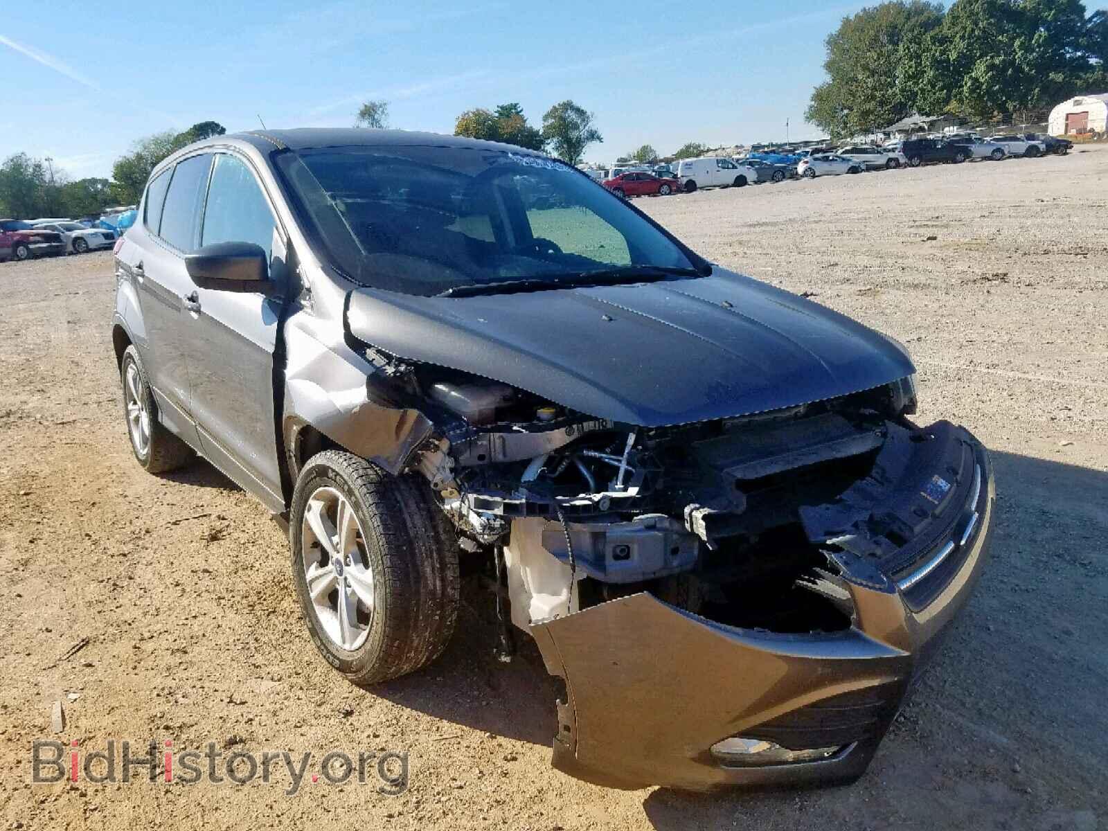 Photo 1FMCU0GX0EUD02579 - FORD ESCAPE 2014