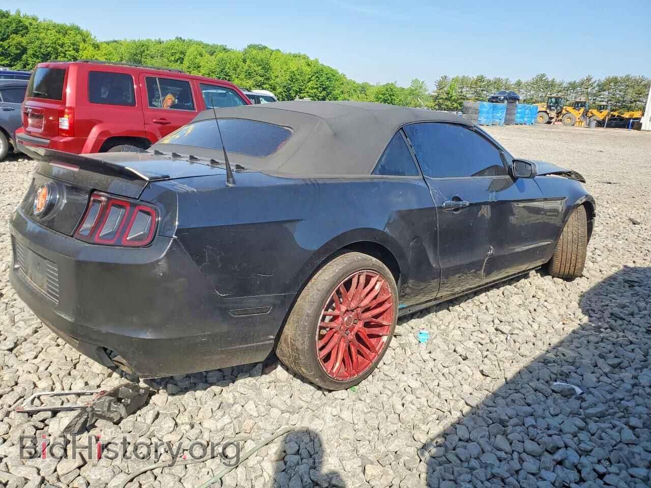 2013 FORD MUSTANG - VIN: 1ZVBP8EM7D5214987 - Фото 3