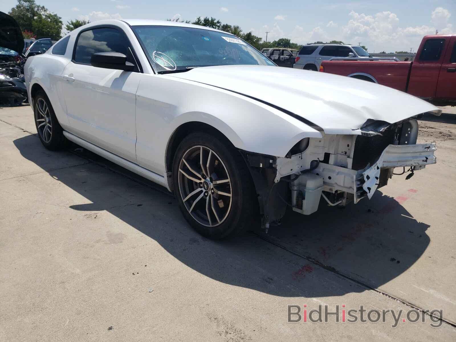 Photo 1ZVBP8AM1E5316079 - FORD MUSTANG 2014