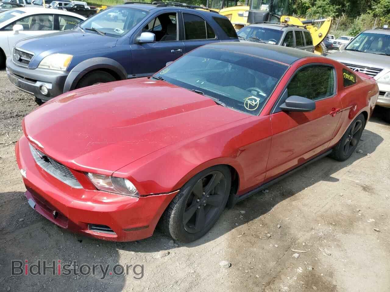 2012 FORD MUSTANG - VIN: 1ZVBP8AM0C5220344 - Фото 2