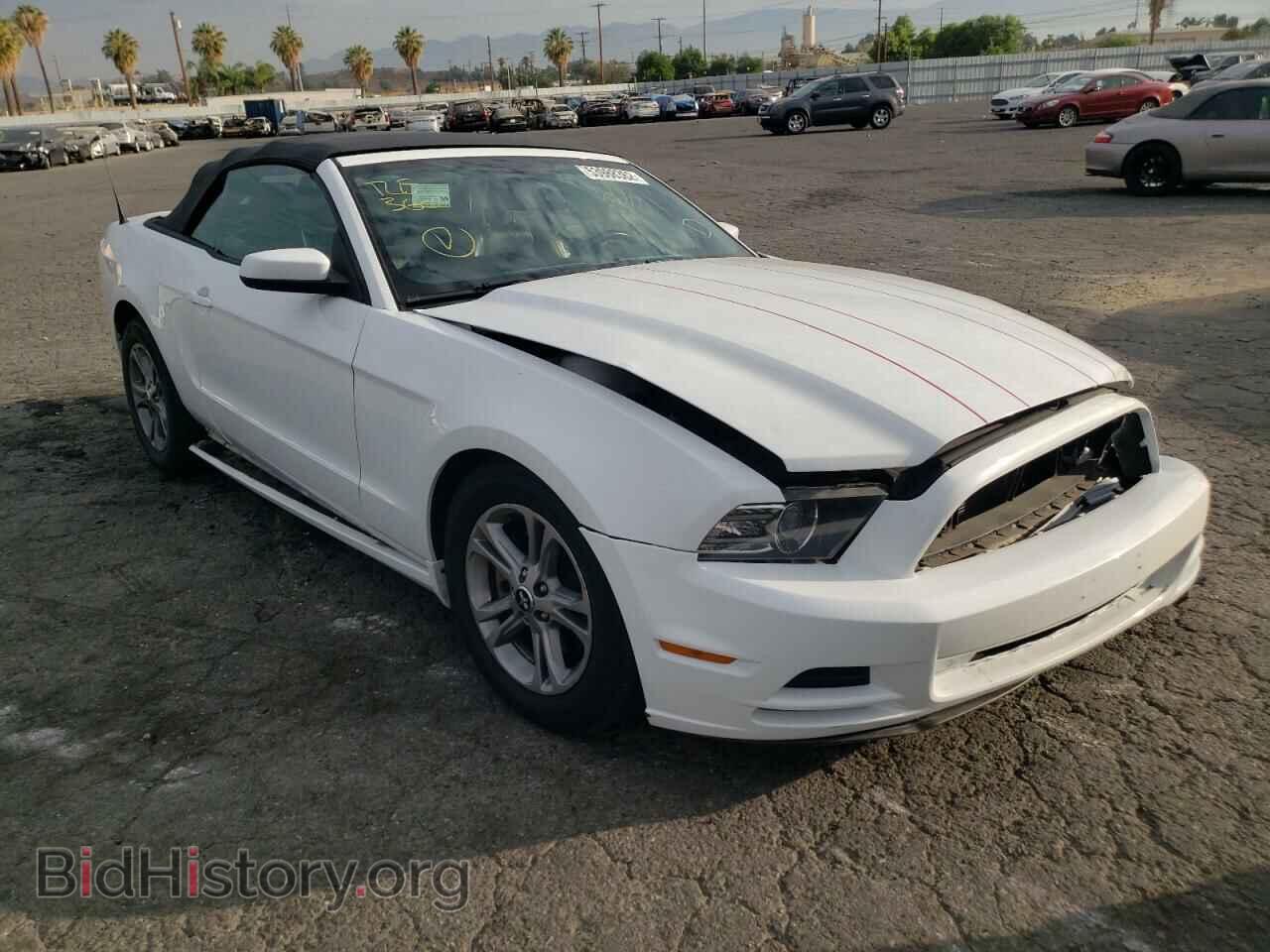 Photo 1ZVBP8EM9E5294942 - FORD MUSTANG 2014