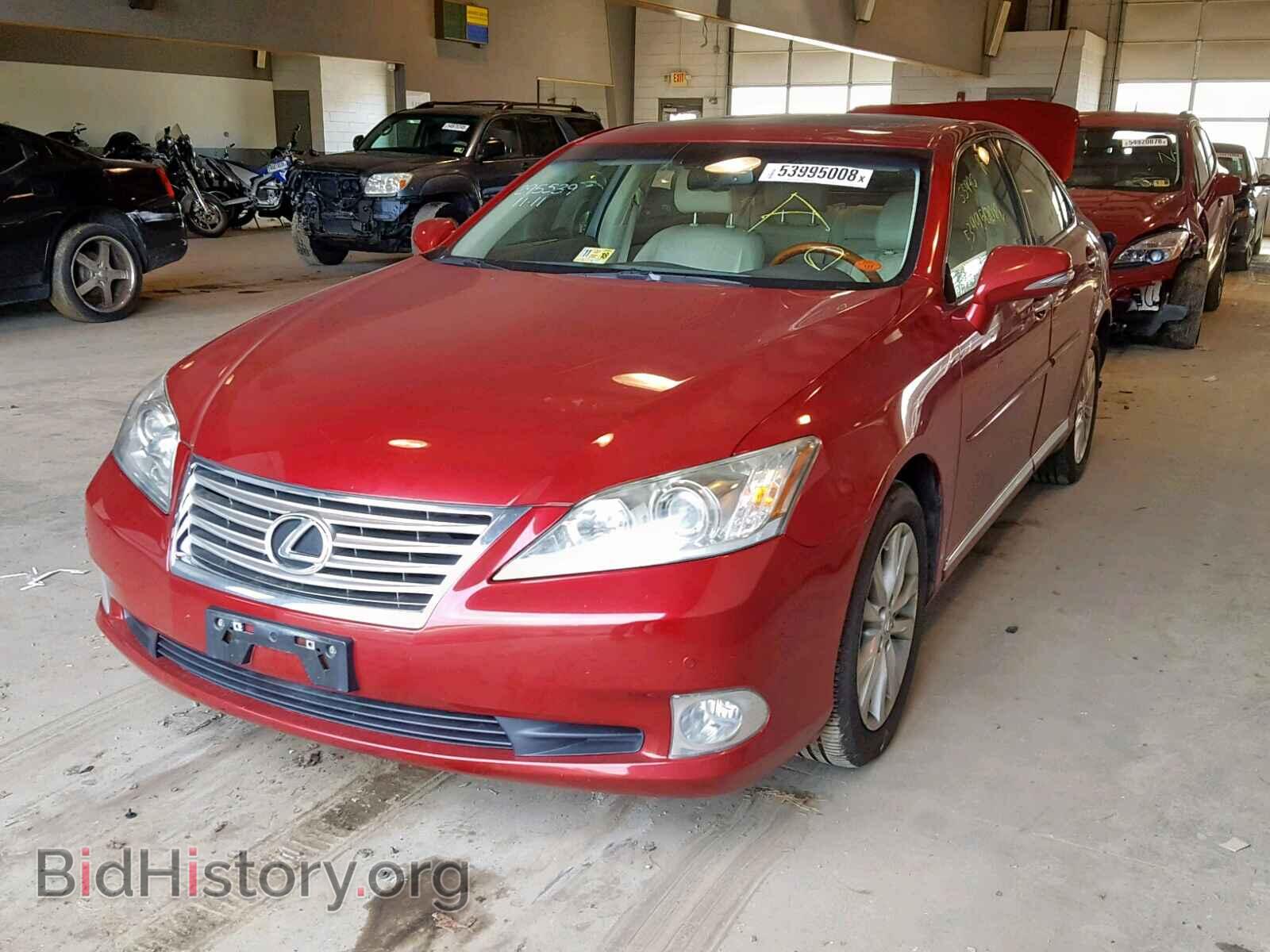 2011 LEXUS ES350 - VIN: JTHBK1EG2B2467151 - Фото 2