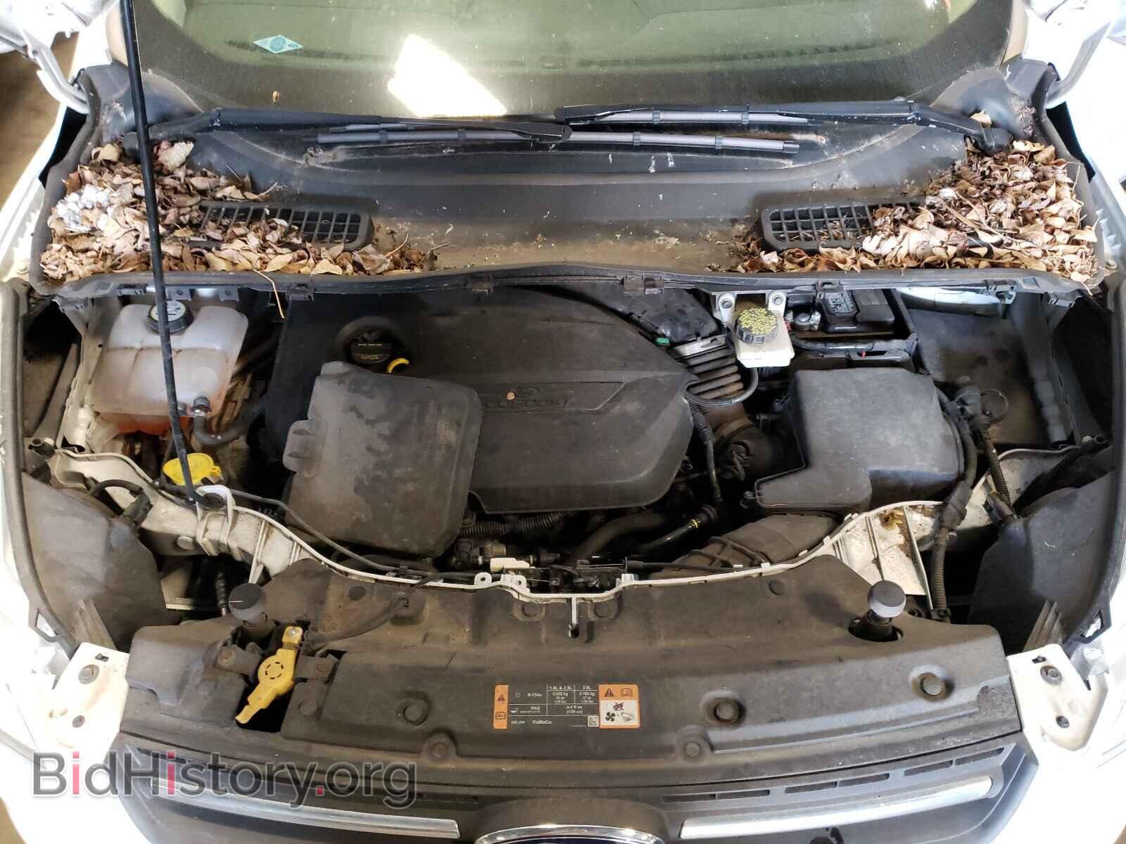 2014 FORD ESCAPE - VIN: 1FMCU0GX4EUD09843 - Фото 7