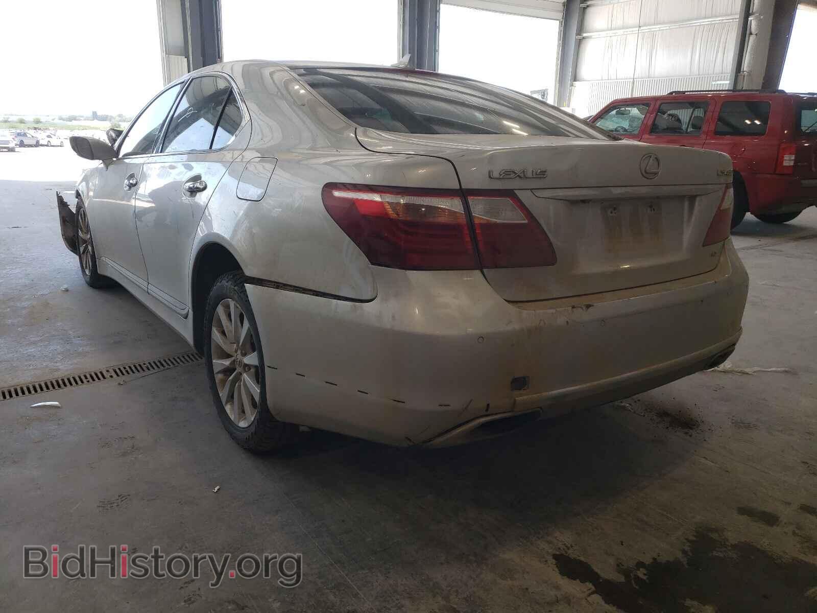 2010 LEXUS LS460 - VIN: JTHCL5EF8A5008509 - Фото 3