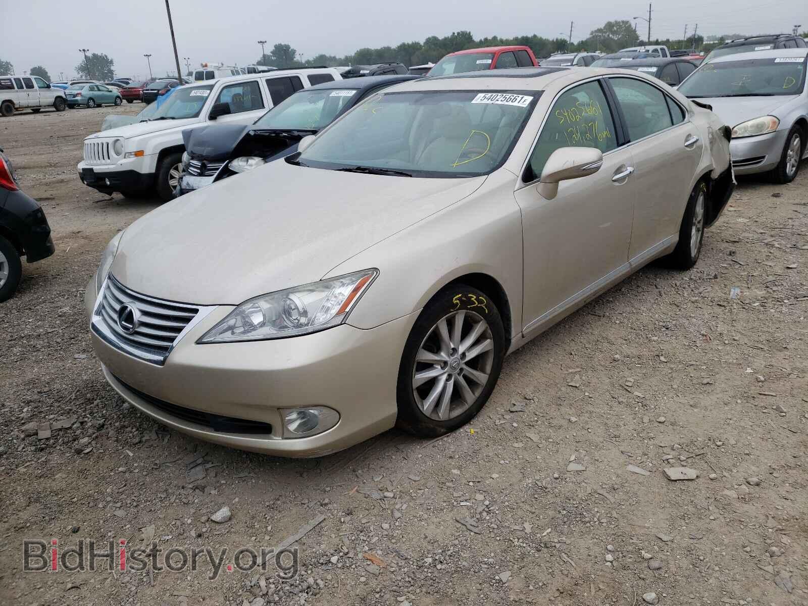 2010 LEXUS ES350 - VIN: JTHBK1EG7A2384099 - Фото 2