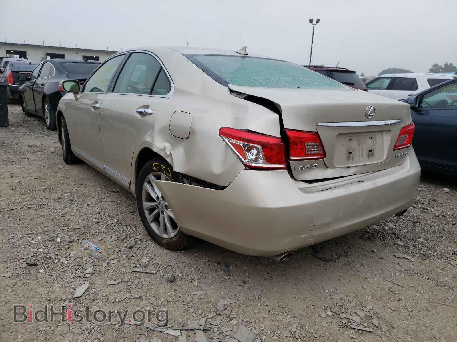 2010 LEXUS ES350 - VIN: JTHBK1EG7A2384099 - Фото 3