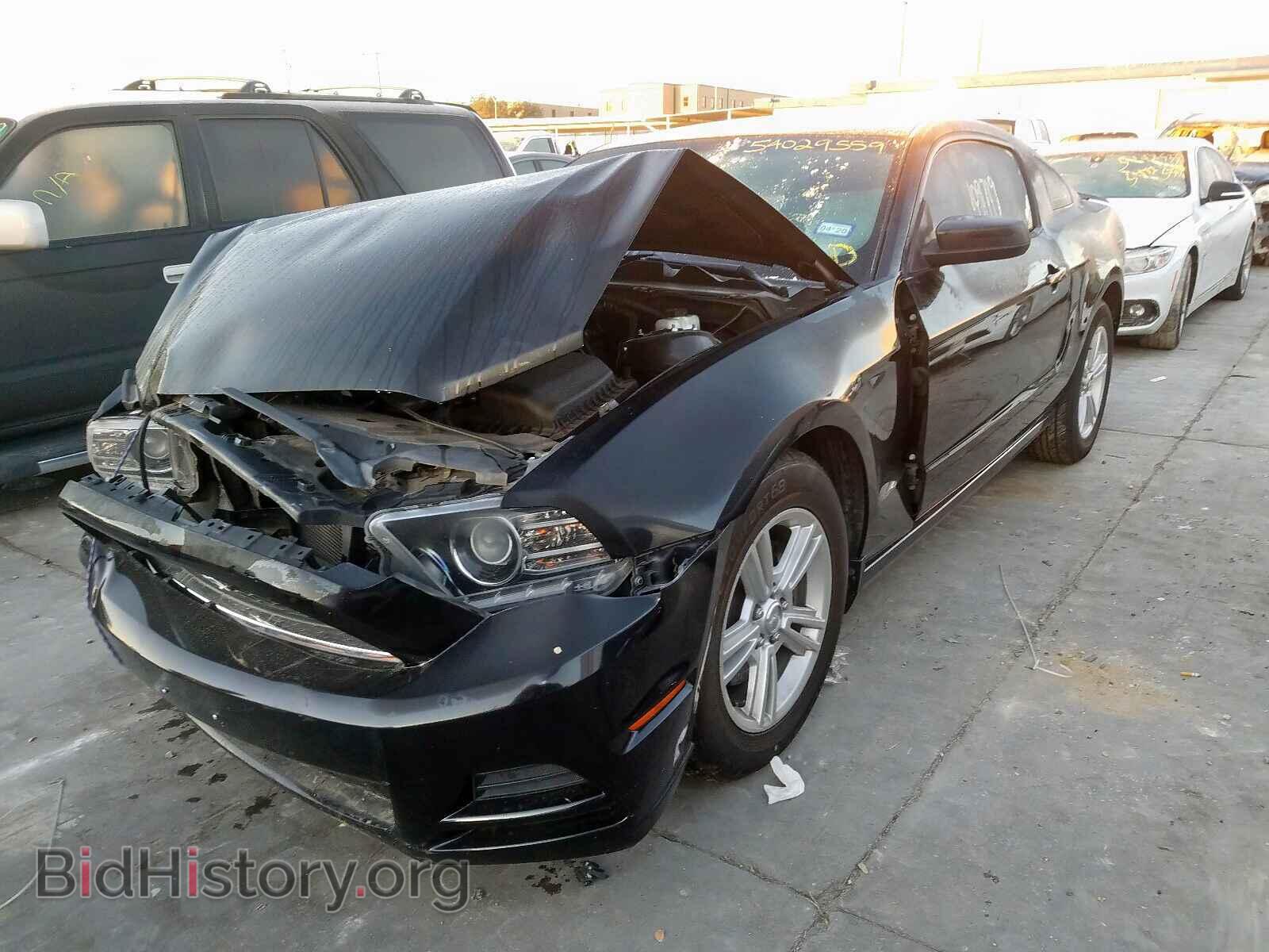 2013 FORD MUSTANG - VIN: 1ZVBP8AM2D5259003 - Фото 2