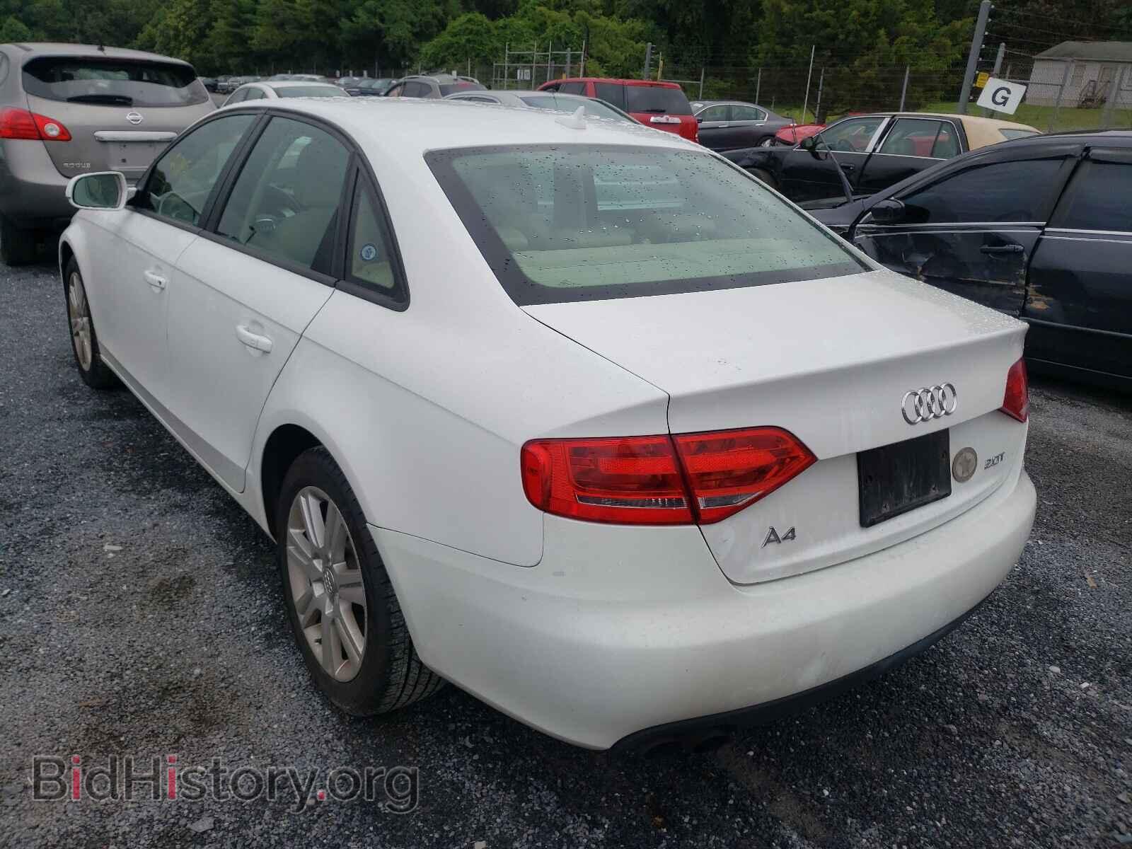 2010 AUDI A4 - VIN: WAUAFAFL2AN033755 - Фото 3