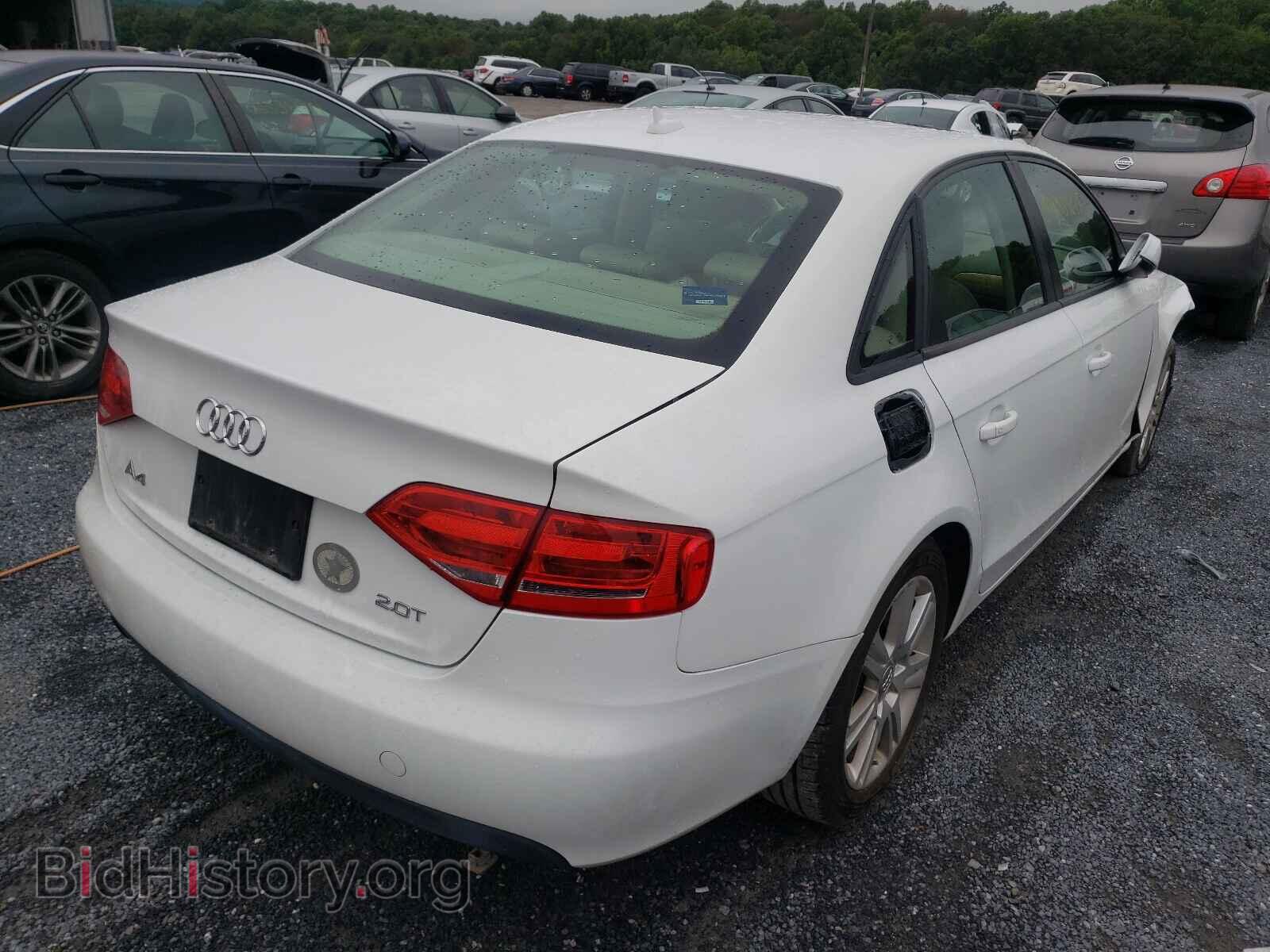 2010 AUDI A4 - VIN: WAUAFAFL2AN033755 - Фото 4