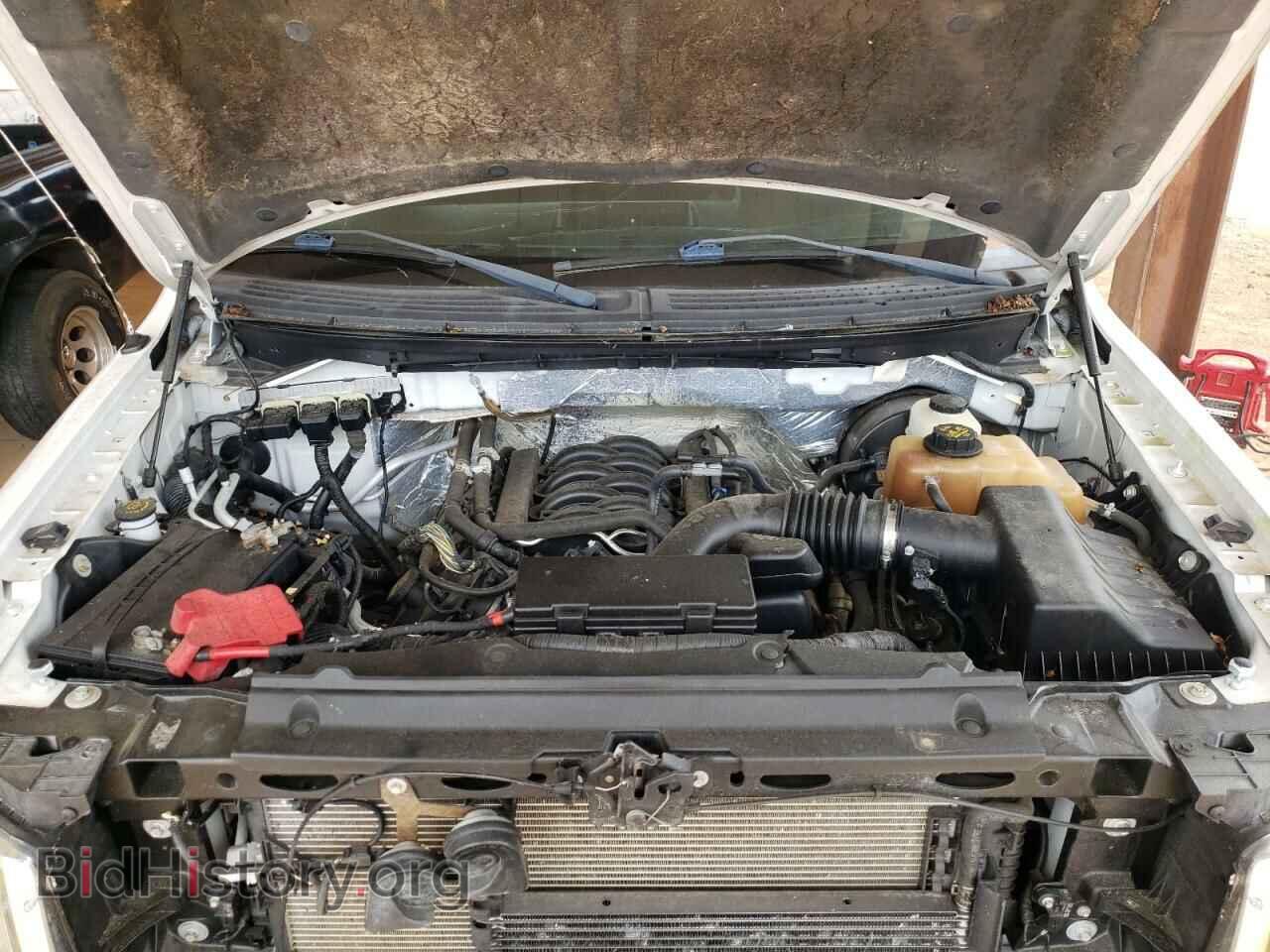2013 FORD F150 - VIN: 1FTMF1CF3DKD86865 - Фото 7