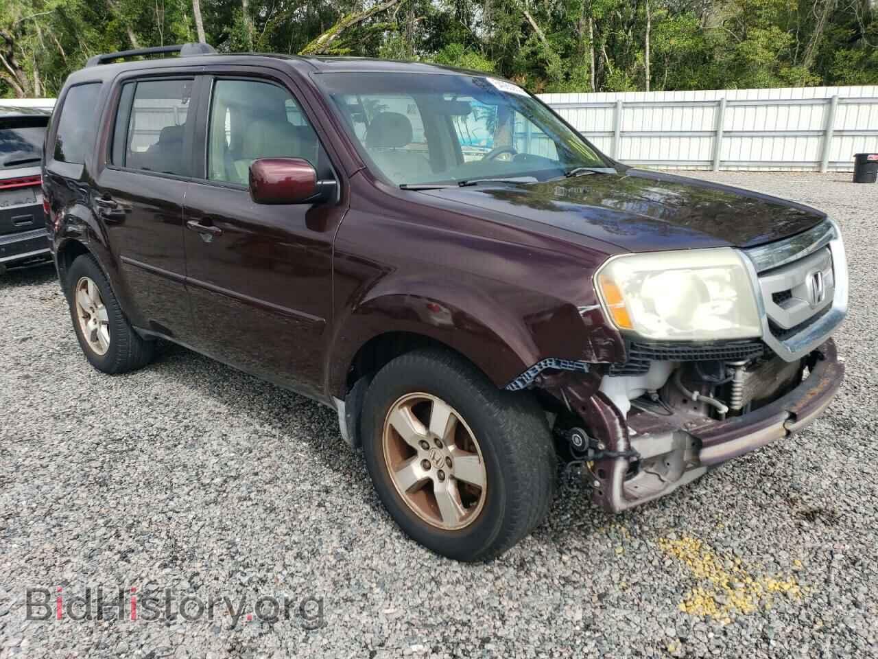 2009 HONDA PILOT - VIN: 5FNYF48439B045349 - Фото 4