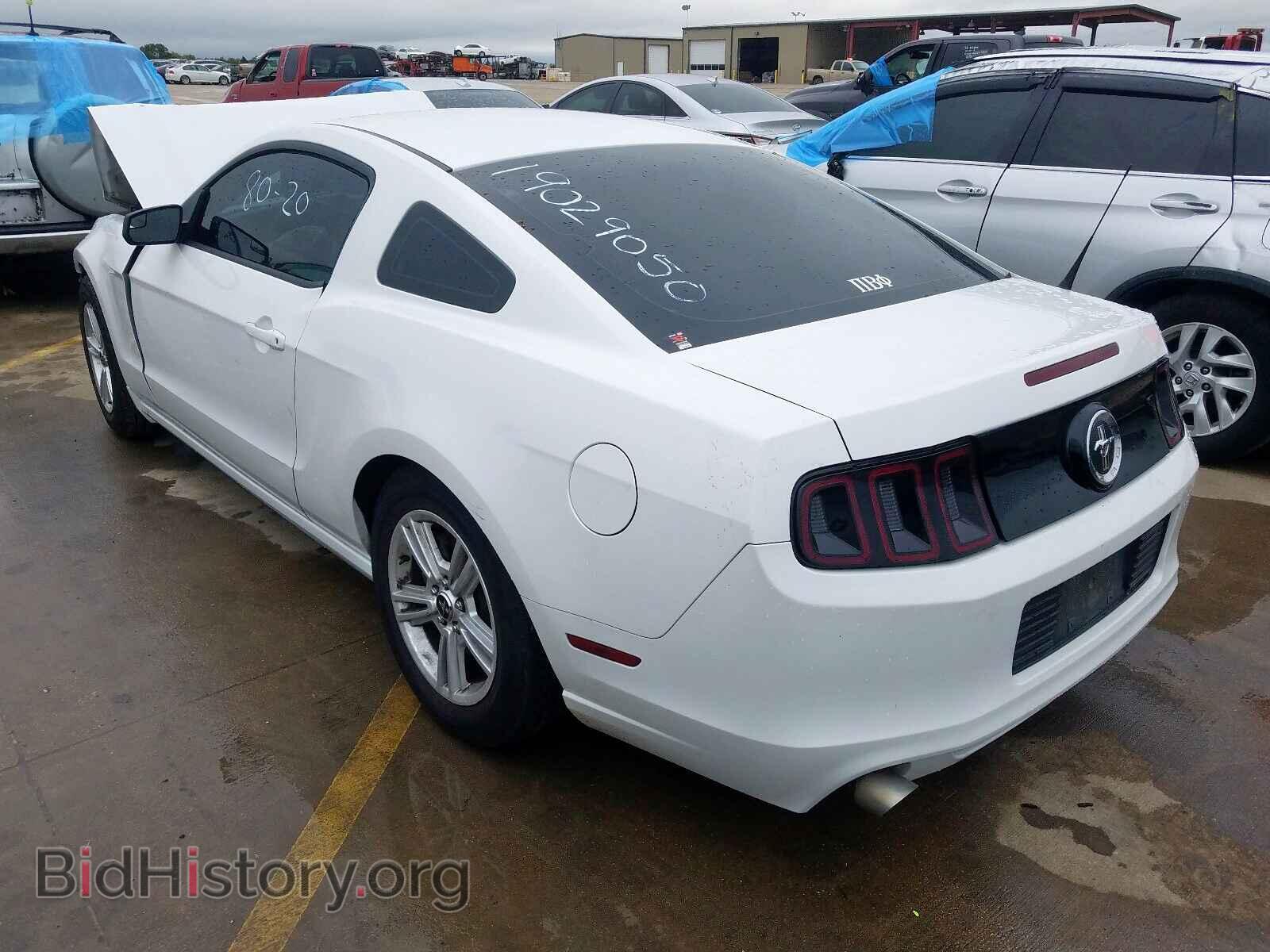 2014 FORD MUSTANG - VIN: 1ZVBP8AM9E5239896 - Фото 3