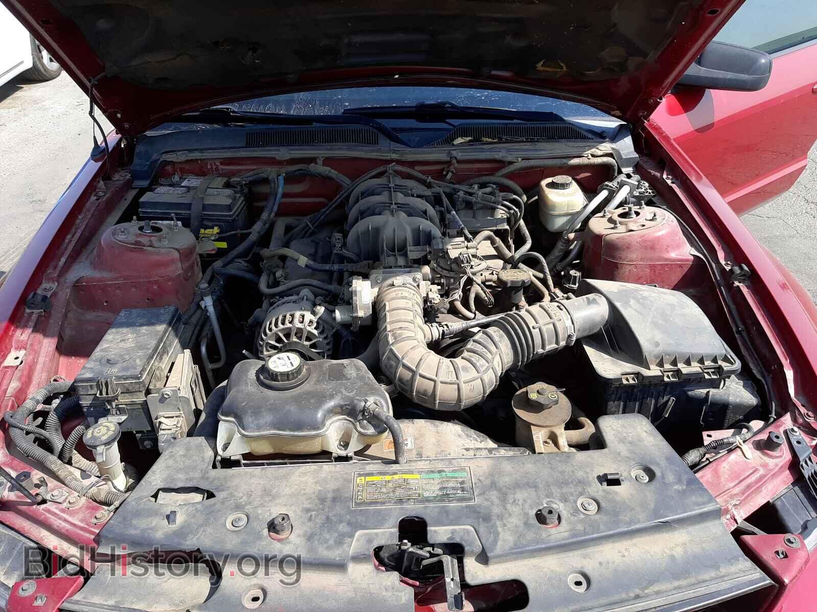 2008 FORD MUSTANG - VIN: 1ZVHT80N085129954 - Фото 7
