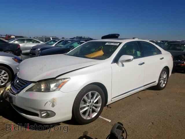 2010 LEXUS ES350 - VIN: JTHBK1EG5A2388085 - Фото 2