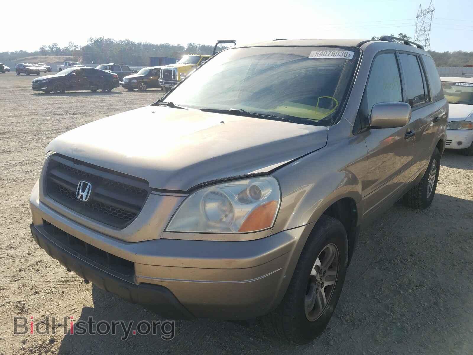 2005 HONDA PILOT - VIN: 2HKYF18655H561899 - Фото 2