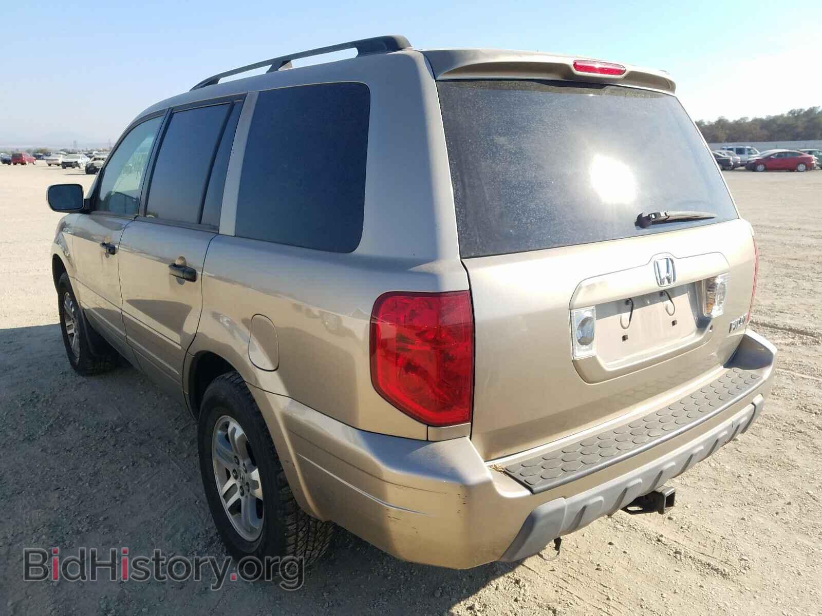 2005 HONDA PILOT - VIN: 2HKYF18655H561899 - Фото 3