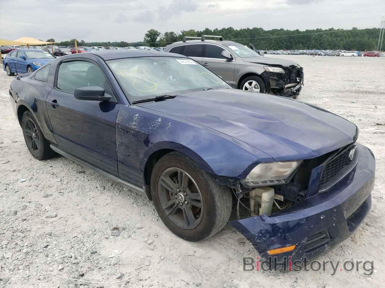 Photo 1ZVBP8AN5A5129768 - FORD MUSTANG 2010