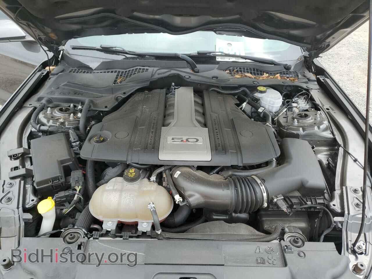 2019 FORD MUSTANG - VIN: 1FA6P8CF9K5129659 - Фото 11