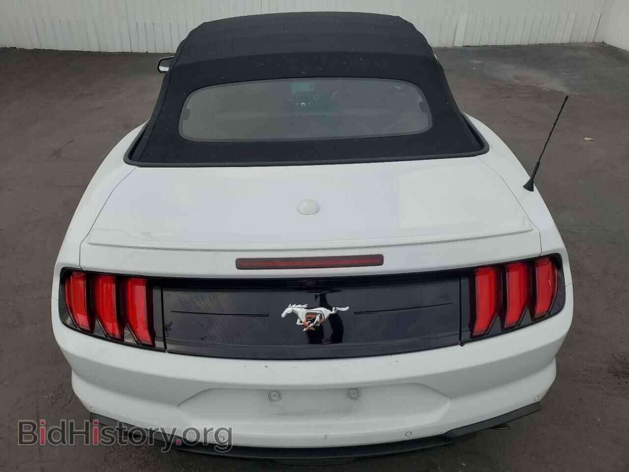 2023 FORD ALL Models - VIN: 1FATP8UH6P5111582 - Фото 6