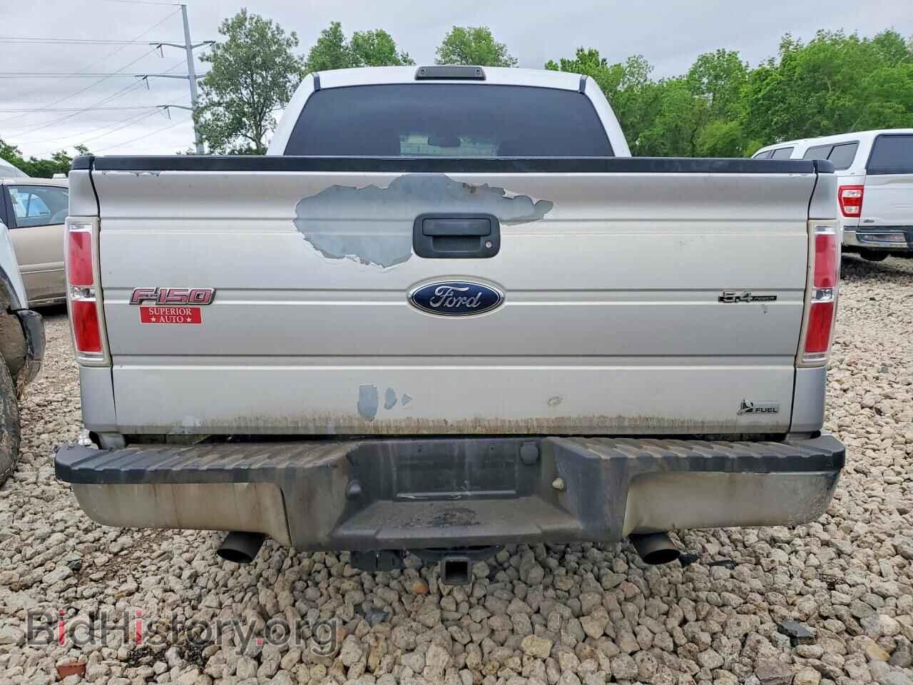 2010 FORD F150 - VIN: 1FTFW1CV1AKE22371 - Фото 6