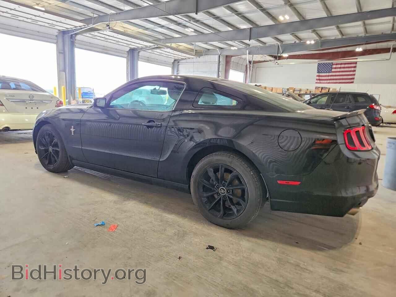 2013 FORD MUSTANG - VIN: 1ZVBP8AM0D5216389 - Фото 2