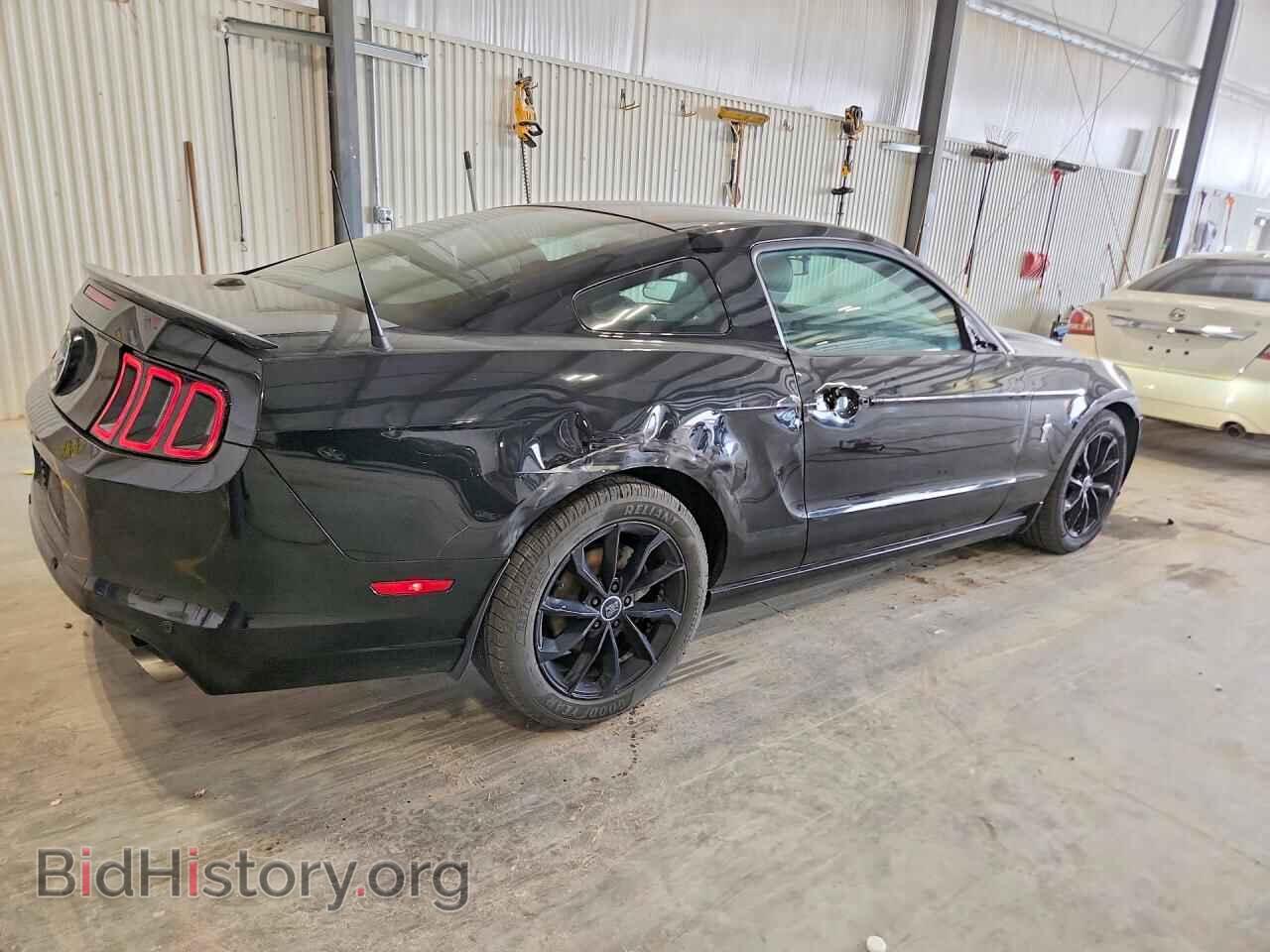 2013 FORD MUSTANG - VIN: 1ZVBP8AM0D5216389 - Фото 3