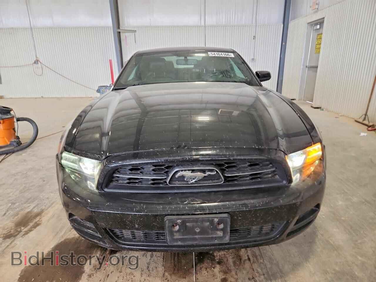 2013 FORD MUSTANG - VIN: 1ZVBP8AM0D5216389 - Фото 5