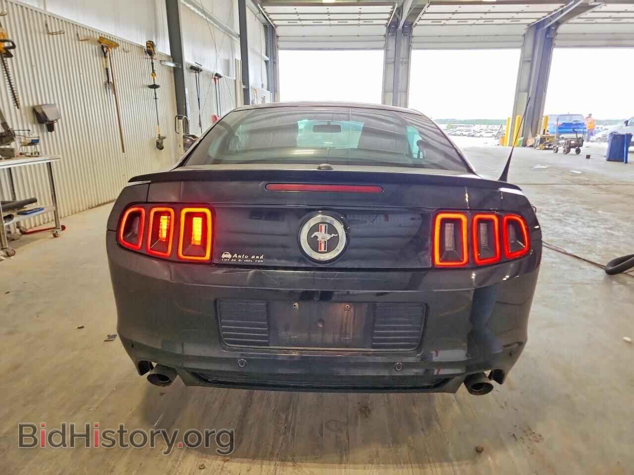 2013 FORD MUSTANG - VIN: 1ZVBP8AM0D5216389 - Фото 6