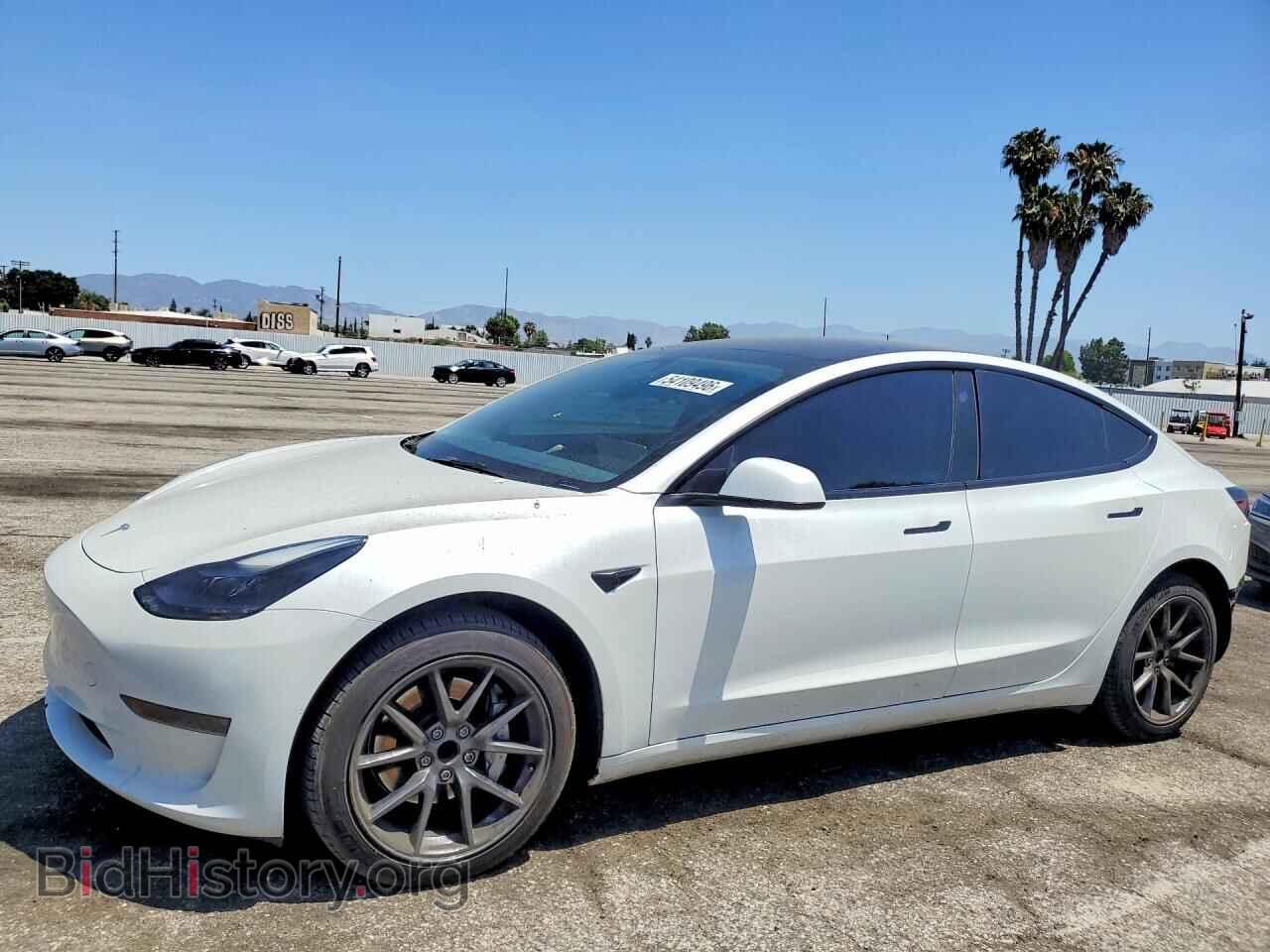 Photo 5YJ3E1EA2PF587769 - TESLA MODEL 3 2023