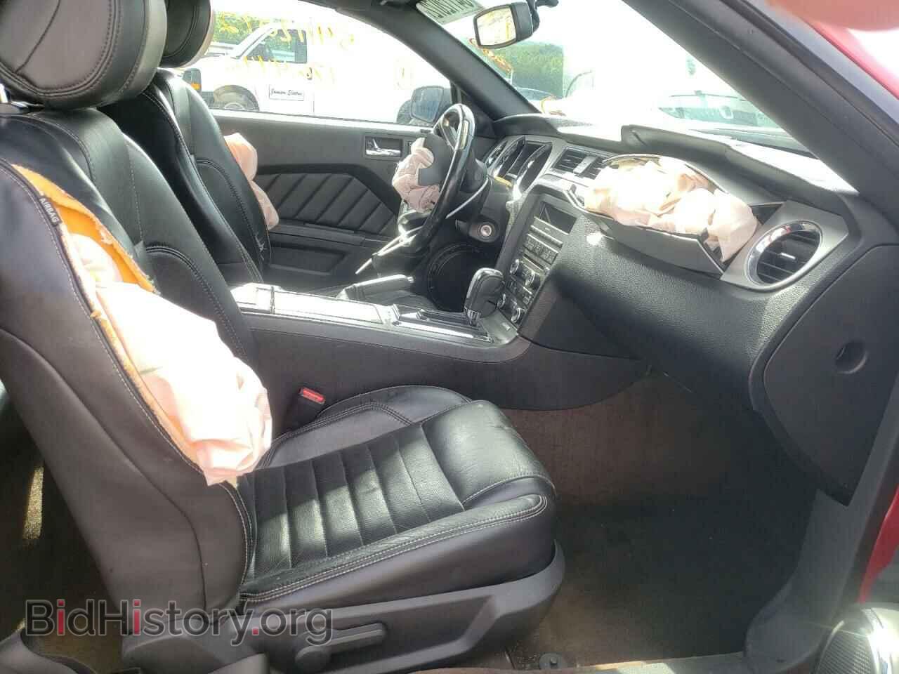 2013 FORD MUSTANG - VIN: 1ZVBP8EM6D5275960 - Фото 5