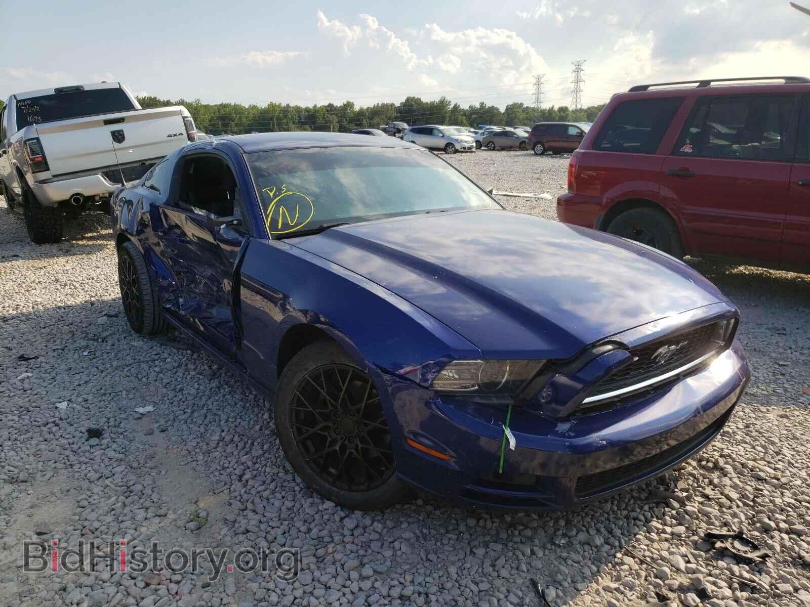 Photo 1ZVBP8AMXE5209905 - FORD MUSTANG 2014