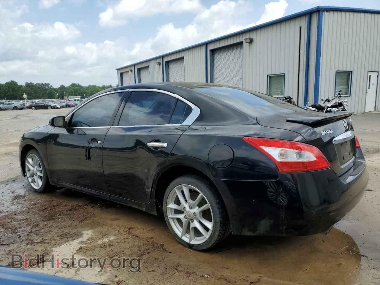 2009 NISSAN MAXIMA - VIN: 1N4AA51EX9C816644 - Фото 2