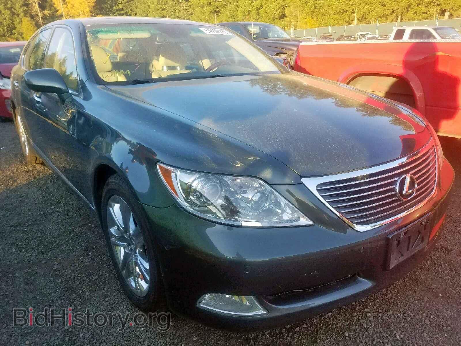 Фотография JTHGL46F685022042 - LEXUS LS460 2008