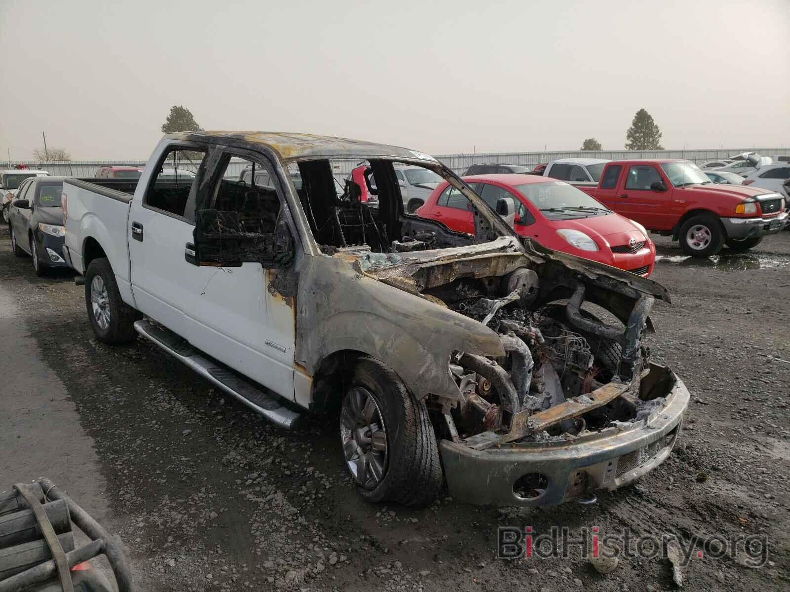 Photo 1FTFW1ET0BFC24290 - FORD F150 2011