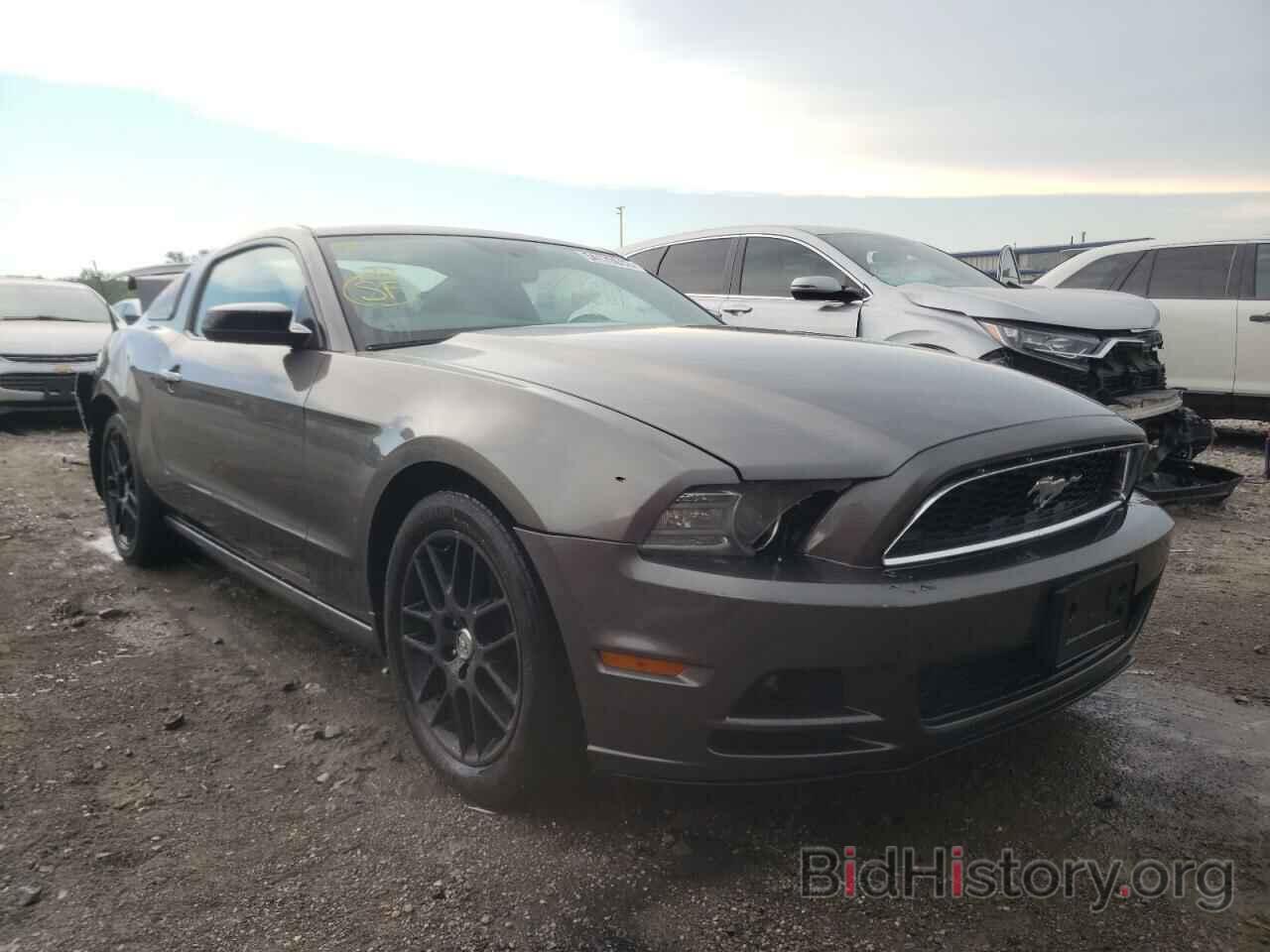Photo 1ZVBP8AM8E5327287 - FORD MUSTANG 2014