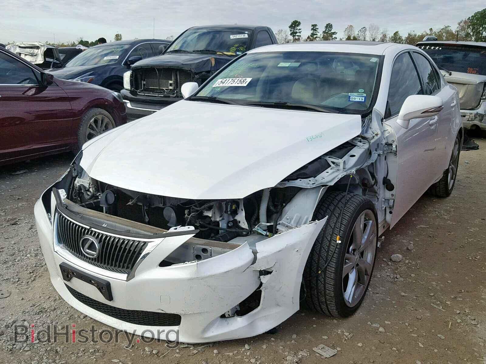 2010 LEXUS IS 250 - VIN: JTHBF5C27A5128580 - Фото 2