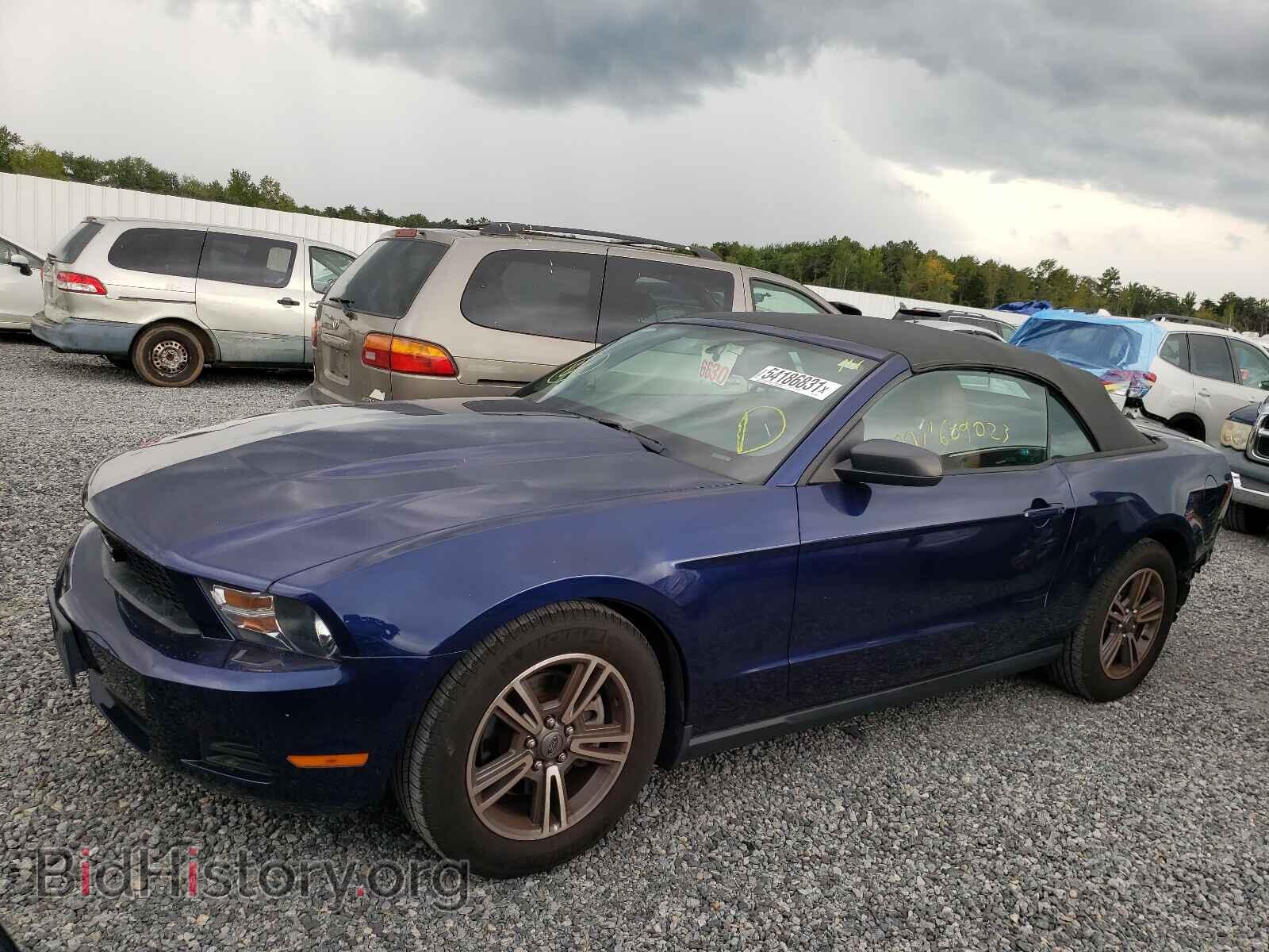 2012 FORD MUSTANG - VIN: 1ZVBP8EM2C5258975 - Фото 2
