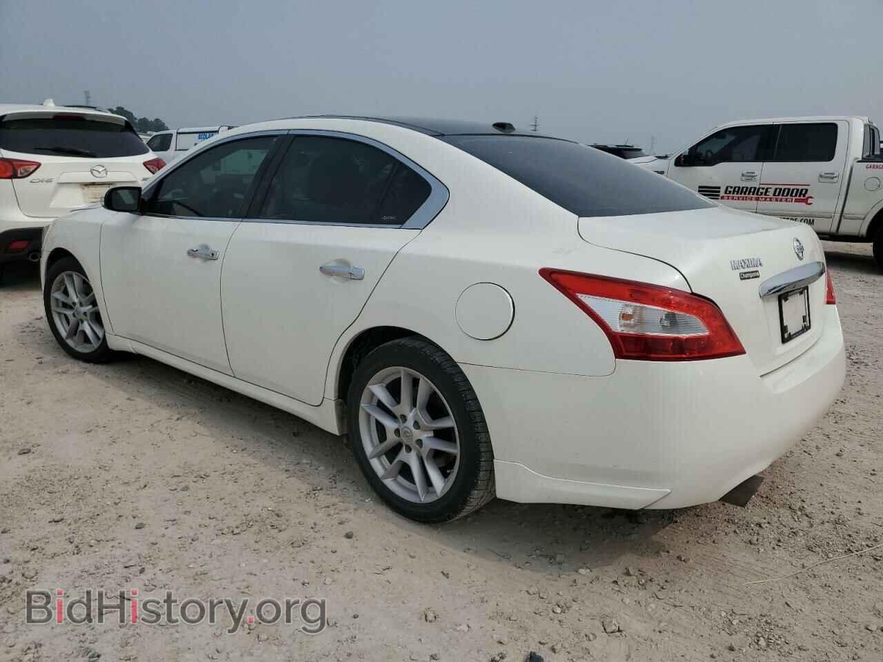 2009 NISSAN MAXIMA - VIN: 1N4AA51EX9C858862 - Фото 2