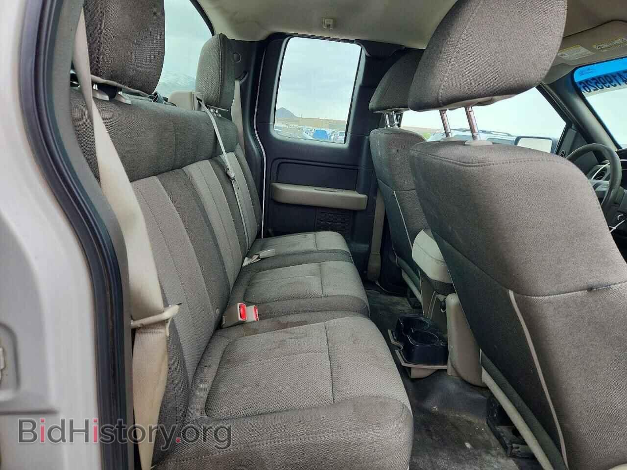 2010 FORD F150 - VIN: 1FTFX1EV3AFD34666 - Фото 10