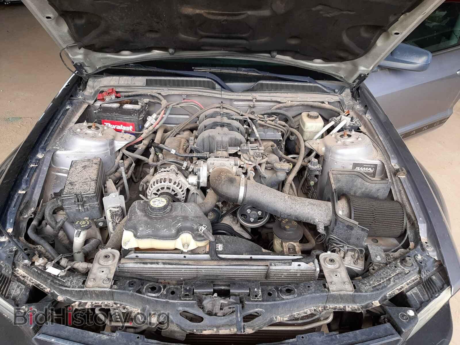 2006 FORD MUSTANG - VIN: 1ZVHT80NX65211624 - Фото 7