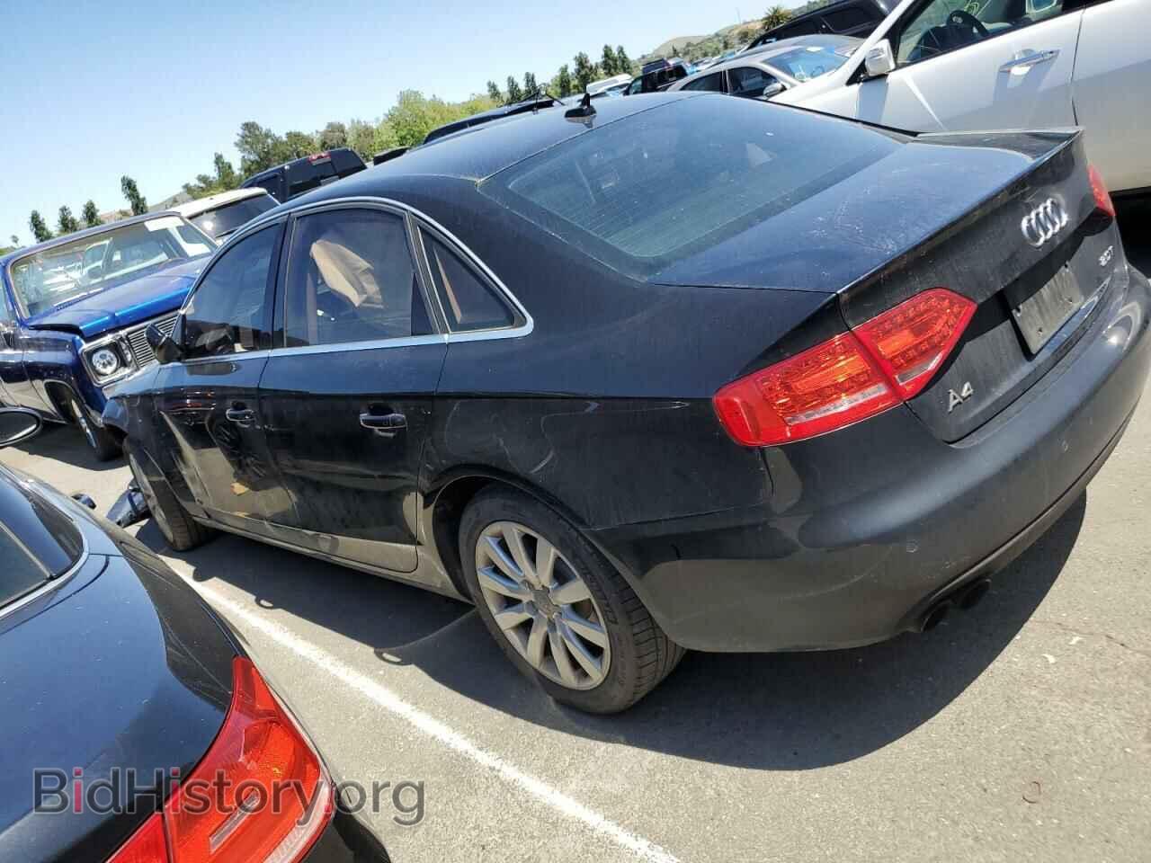 2011 AUDI A4 - VIN: WAUEFAFL6BN050044 - Фото 2